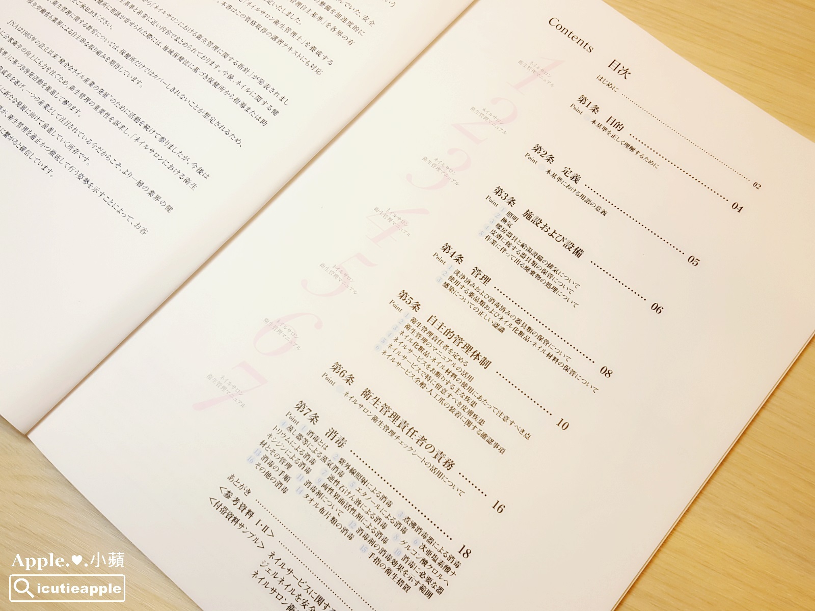 【美甲進修】跟著「日本世界美甲冠軍團隊」井口美乃老師學習沙龍衛生管理及優雅凝膠設計款