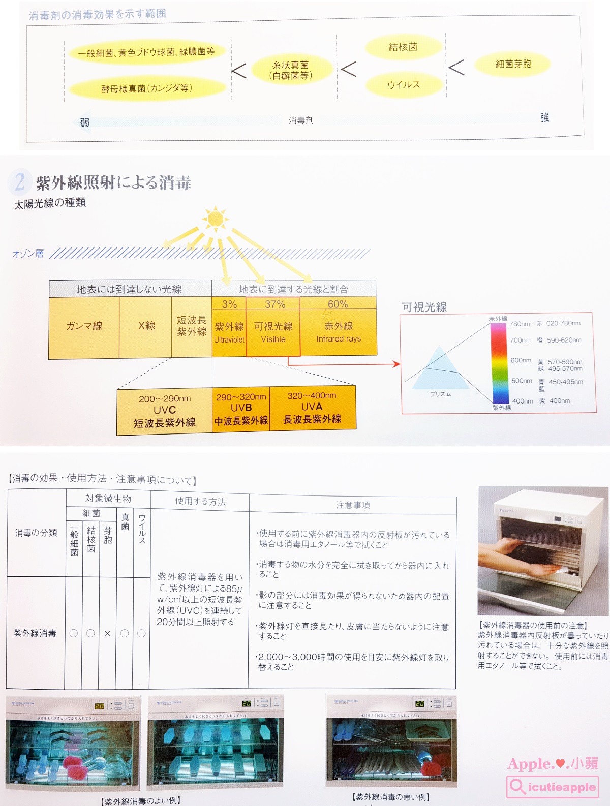【美甲進修】跟著「日本世界美甲冠軍團隊」井口美乃老師學習沙龍衛生管理及優雅凝膠設計款